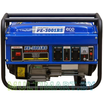 Бензиновый генератор ECO PE-3001RS картинка 3